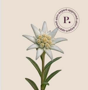 Edelweiss